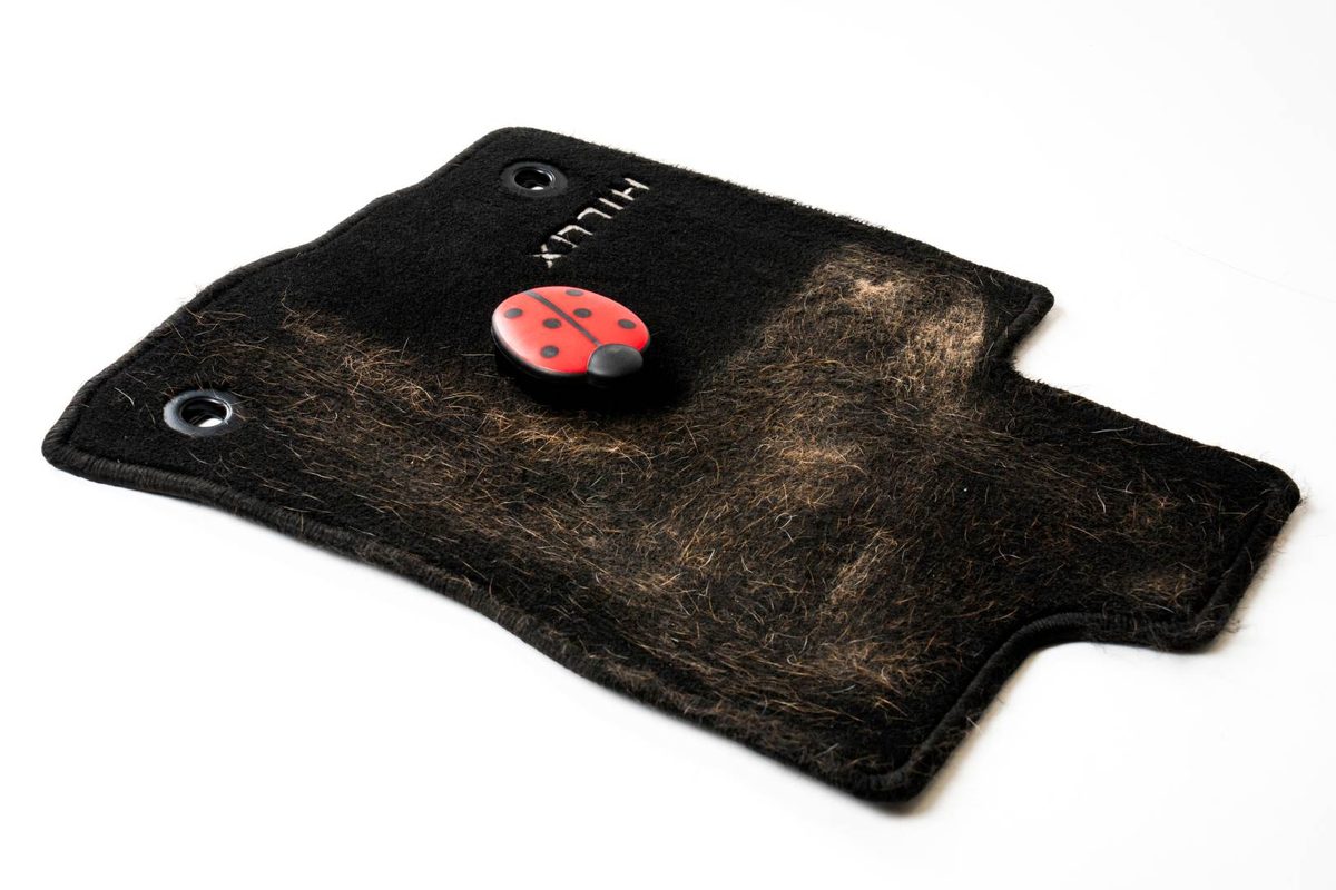 Tapis de sol de voiture couvert de poils de chien, nettoyé au balai Wyn V7